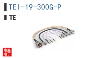 TEI-19-300G-P
