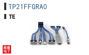 TP21FFGRA0