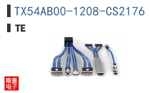 TX54AB00-1208-CS2176