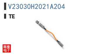 V23030H2021A204