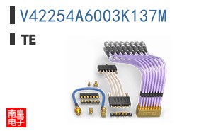 V42254A6003K137M