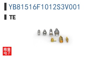 YB81516F1012S3V001