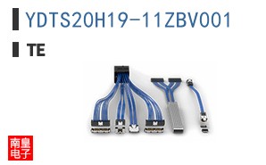 YDTS20H19-11ZBV001