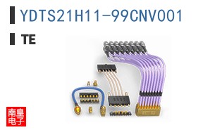 YDTS21H11-99CNV001