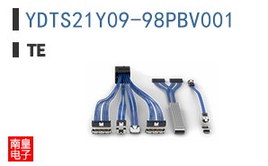 YDTS21Y09-98PBV001