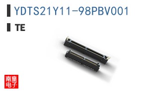 YDTS21Y11-98PBV001