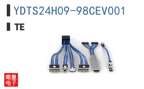 YDTS24H09-98CEV001