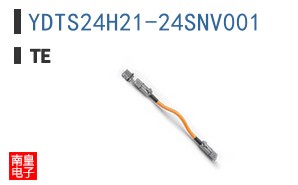 YDTS24H21-24SNV001